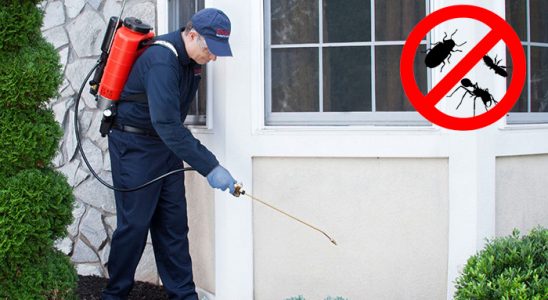 Buca Hamam Böceği İlaçlama böcek ilaçlama ve haşere kontrolü — ilaclama-tr.com